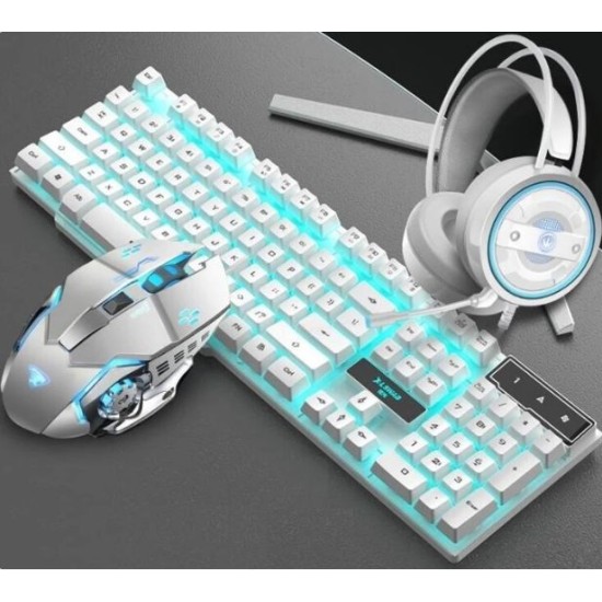 Gaming Consoles & Accessories